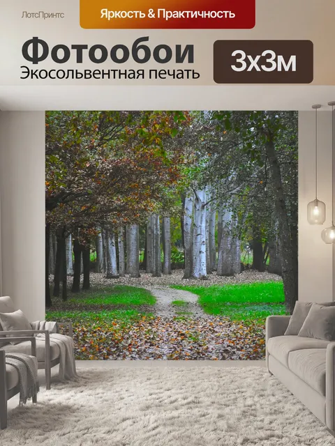Фотообои Лес