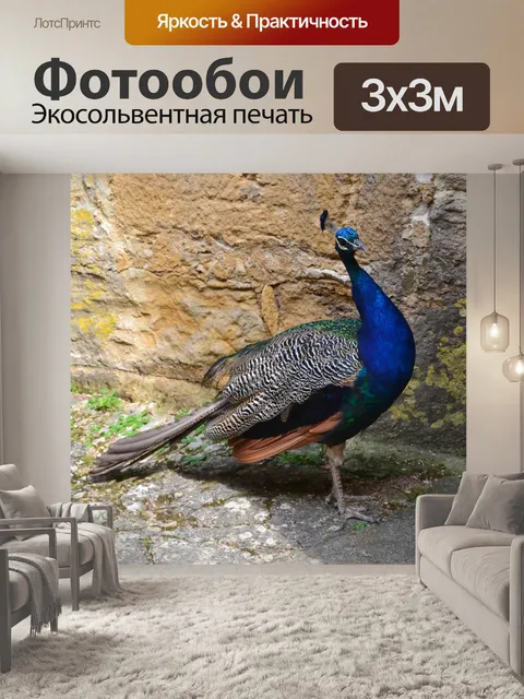 Фотообои Павлин