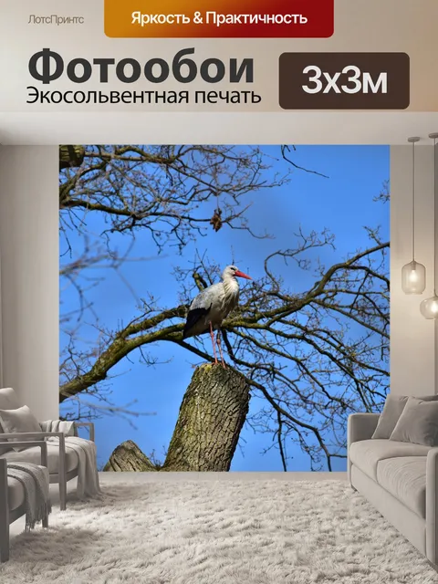 Фотообои Аист