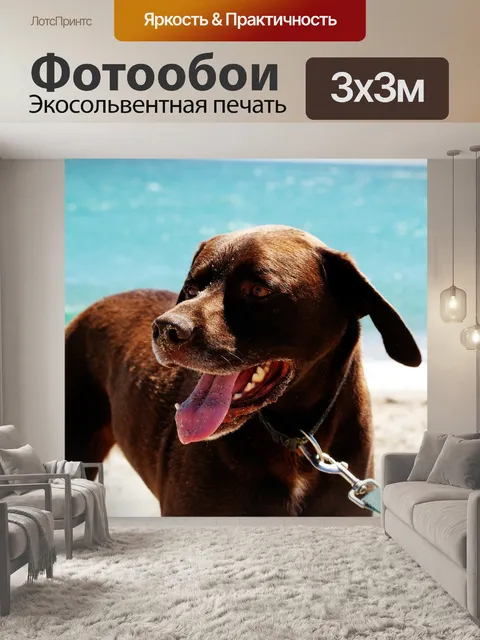 Фотообои Собака