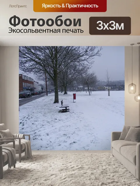 Фотообои Зеленая дорога в снегу, пасмурно, 1