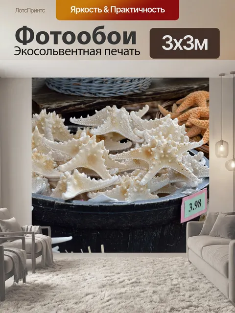 Фотообои Морская звезда