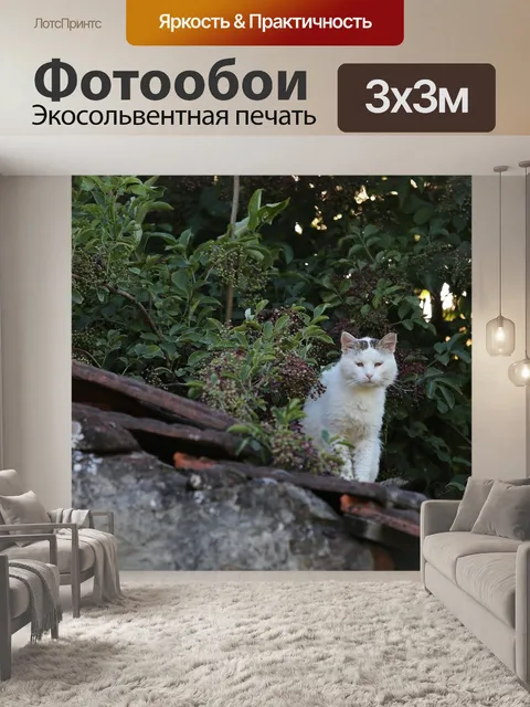 Фотообои Белый кот на крыше