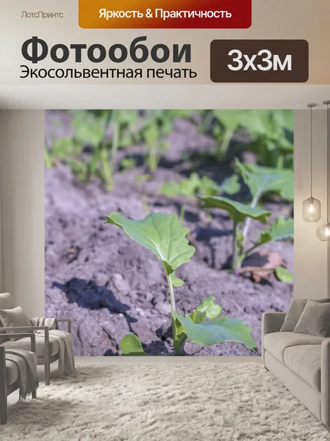 Фотообои Листья
