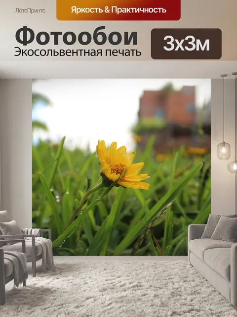 Фотообои Цветы