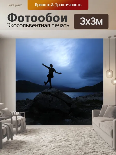 Фотообои Силуэт