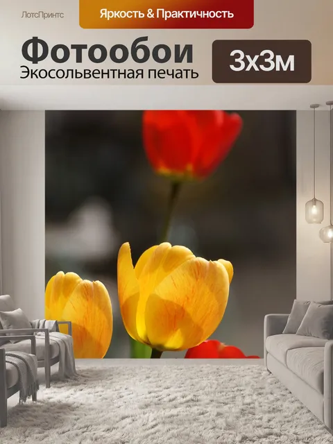 Фотообои Тюльпаны