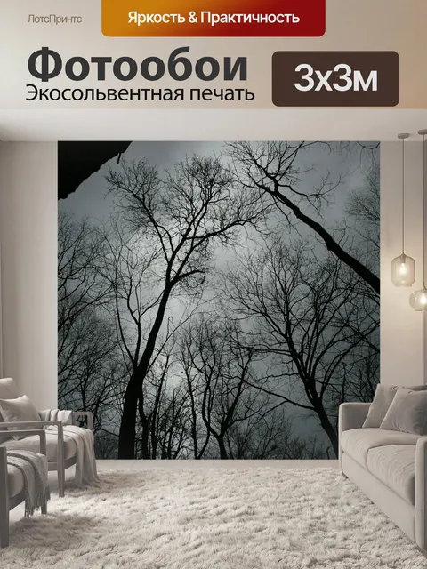 Фотообои Деревья
