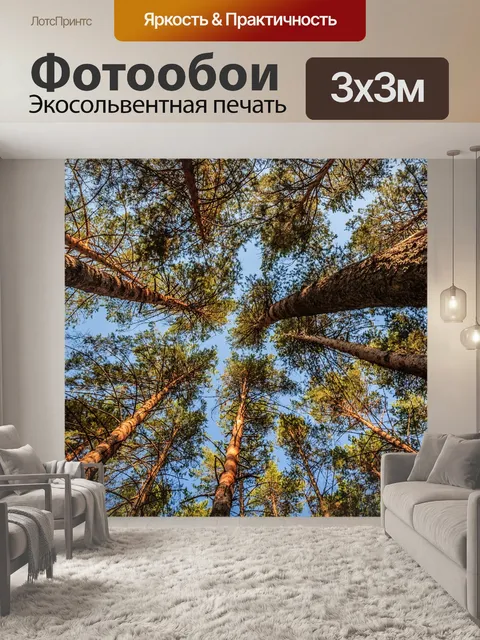 Фотообои Сосны