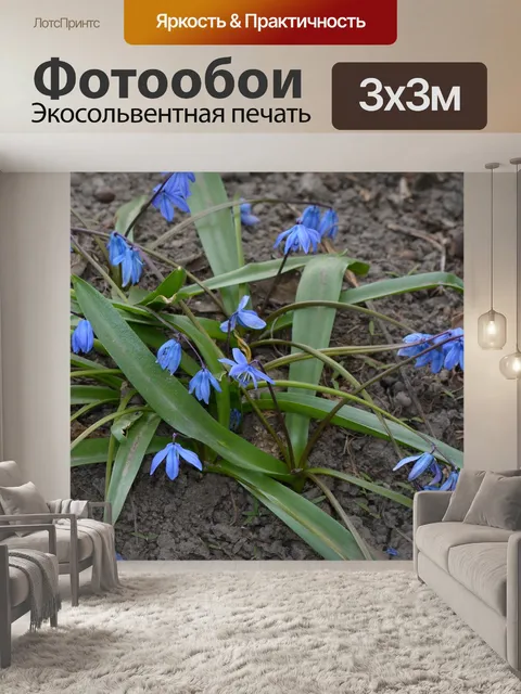 Фотообои Весна