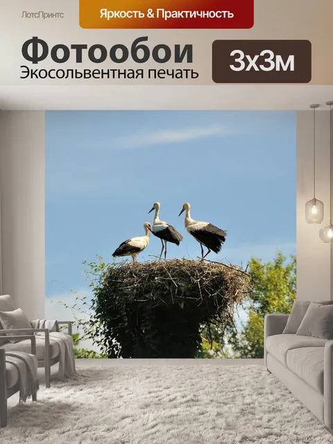 Фотообои Аист
