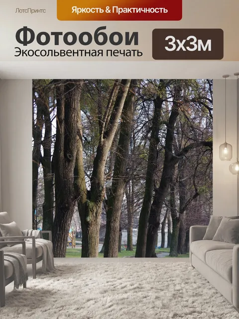 Фотообои Осень