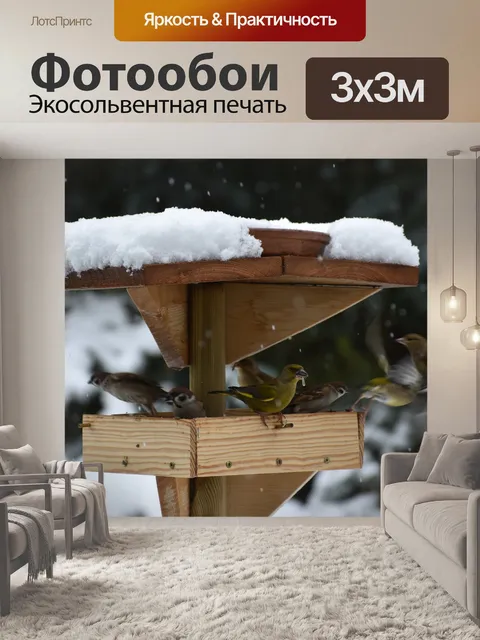 Фотообои Птица