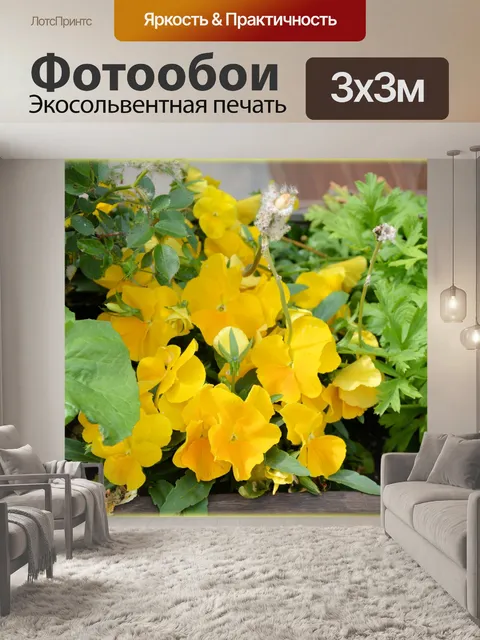 Фотообои Голландские цветы в саду