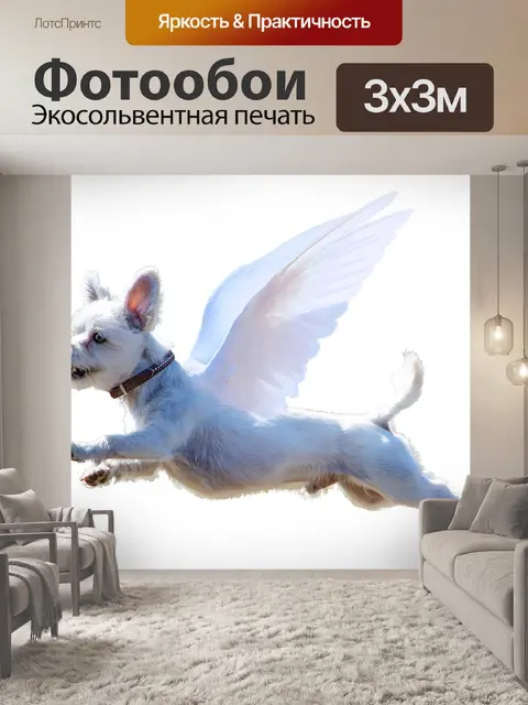 Фотообои Собака