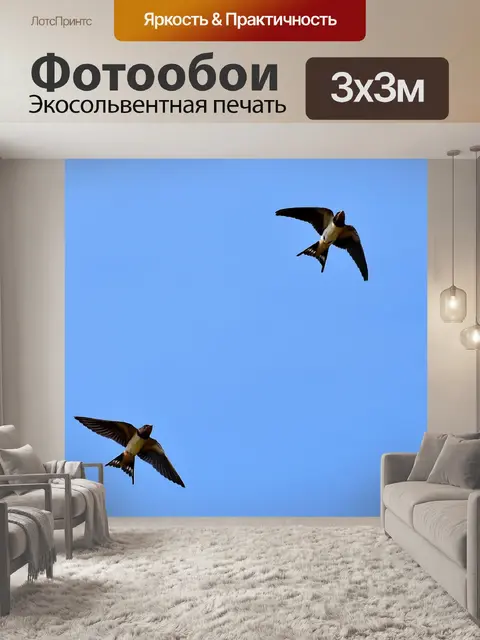 Фотообои Ласточки