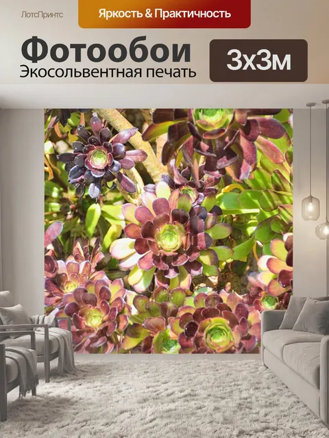 Фотообои Разнообразие маслянистого растения