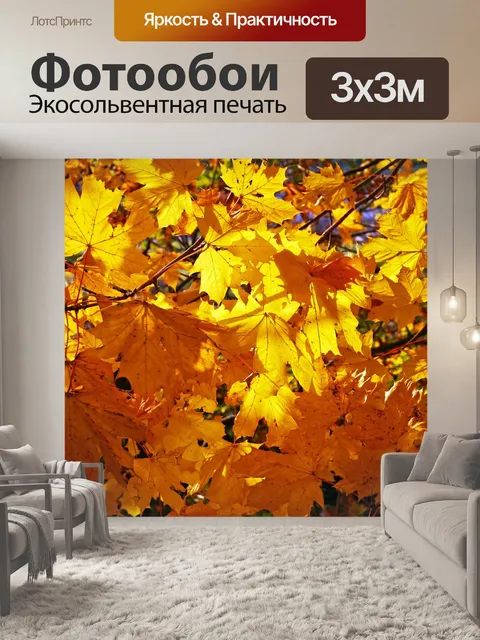 Фотообои Осенние листья