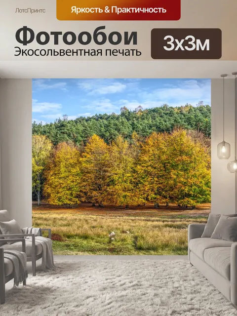Фотообои Деревья