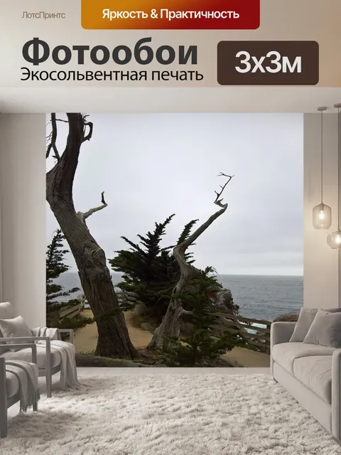 Фотообои Дерево