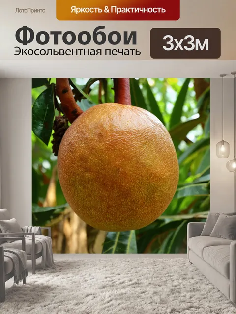 Фотообои коричневый экзотический фрукт на фоне тропического леса