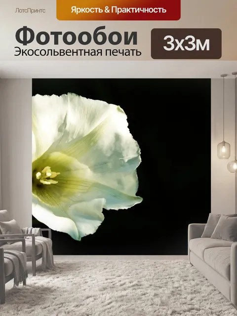 Фотообои Цветок