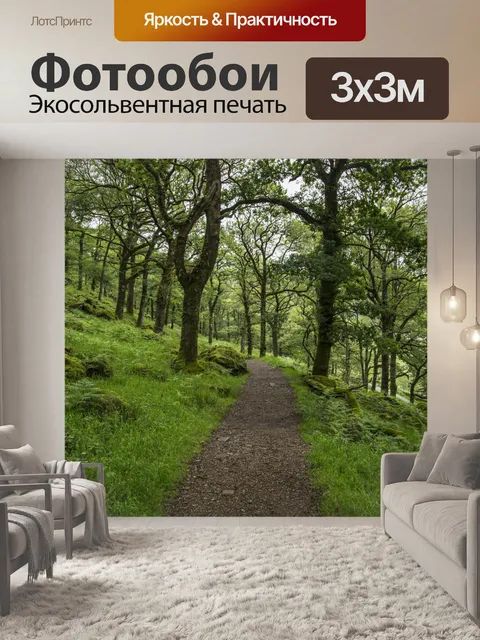 Фотообои Путь через лес