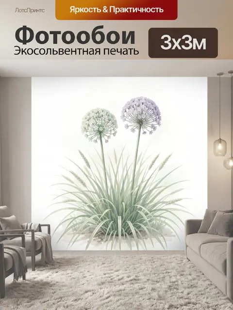 Фотообои Нежные декоративные аллиумы и травы