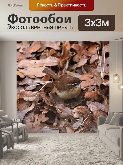 Фотообои Каролина Рен в листьях