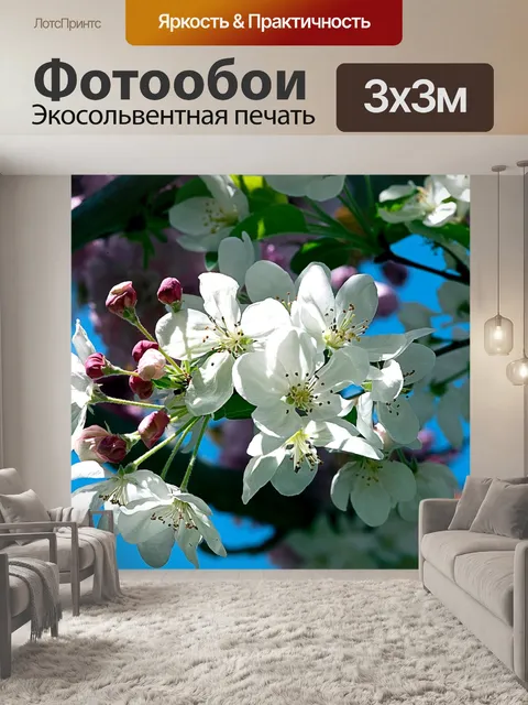 Фотообои Цветы