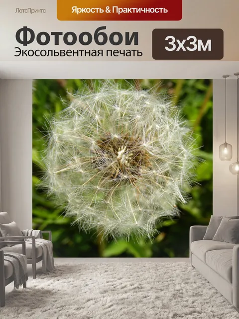 Фотообои Дуть