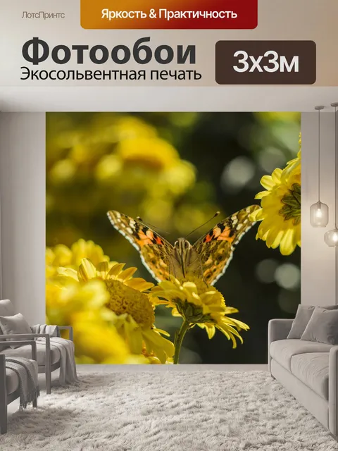 Фотообои Бабочка