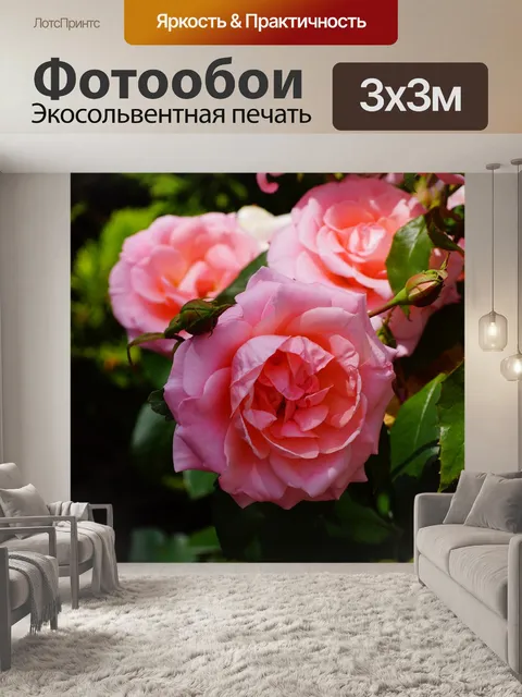 Фотообои Розы