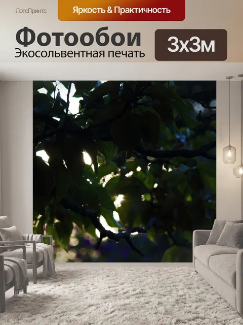 Фотообои солнечные лучи сквозь зеленые листья