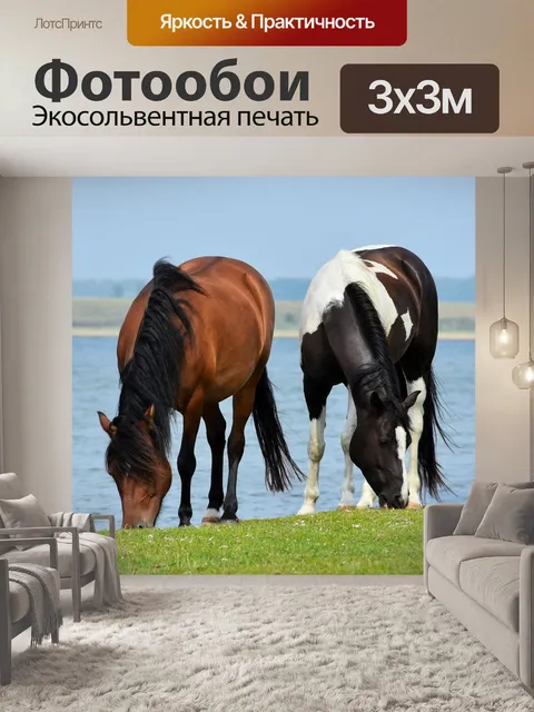 Фотообои Лошади