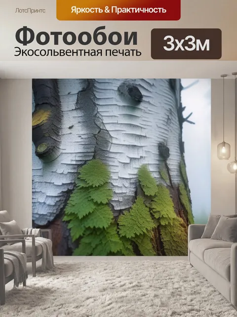 Фотообои ствол березы с утренним туманом
