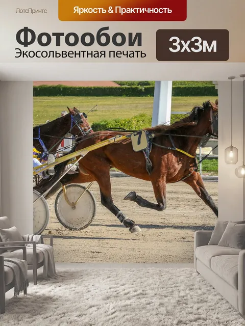 Фотообои Лошади
