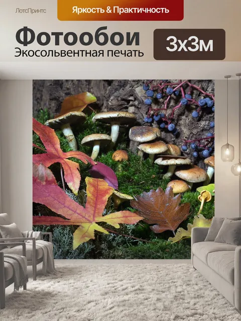 Фотообои Лес
