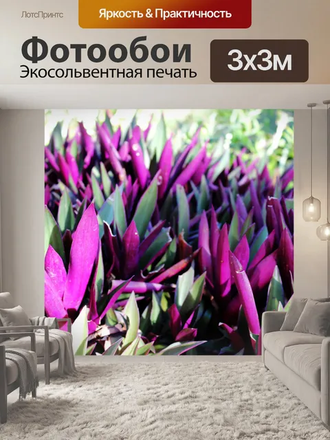Фотообои листья фиалки