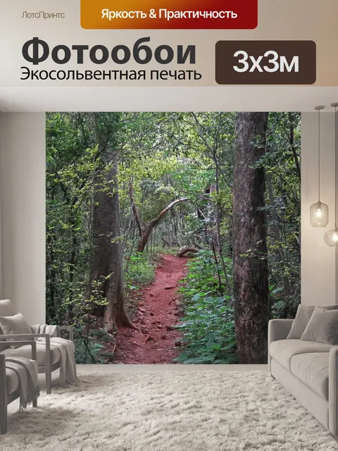Фотообои Путь через лесную зону