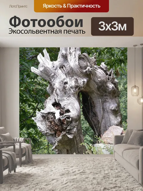 Фотообои Природа
