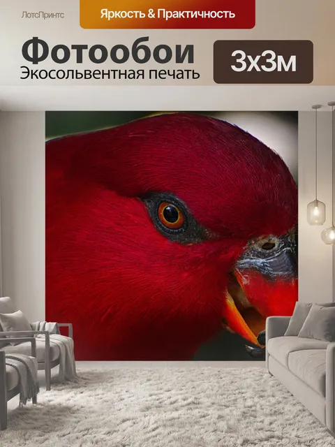 Фотообои Птица
