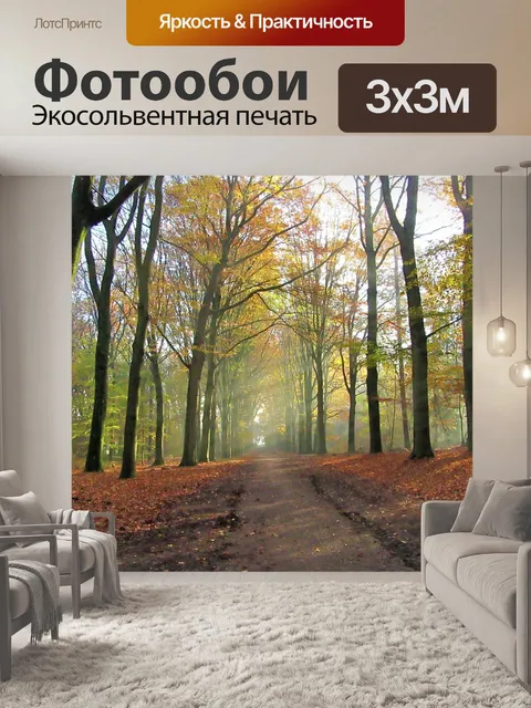 Фотообои Лес