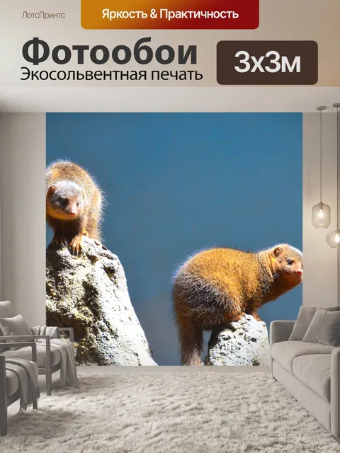 Фотообои Твари