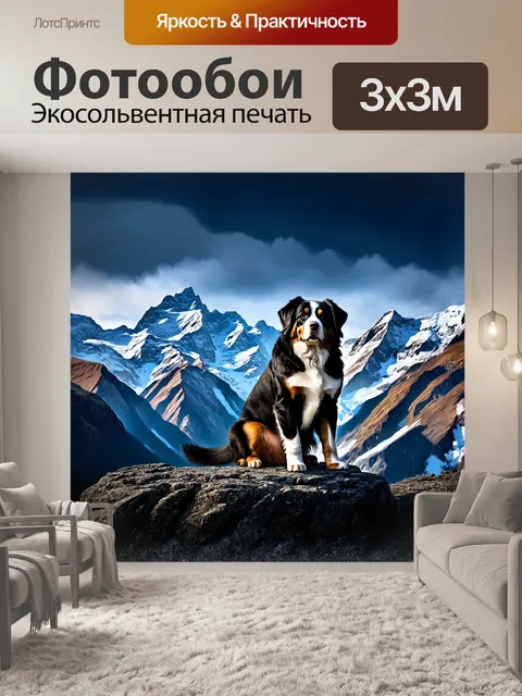 Фотообои величественный бернер сидит на каменном выступе