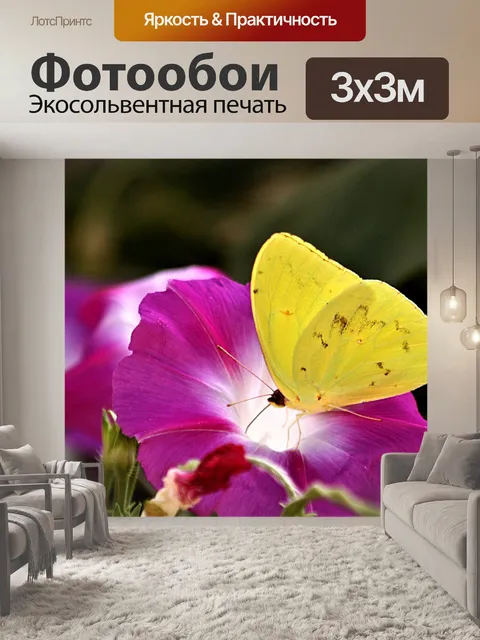 Фотообои Оранжевая серая бабочка