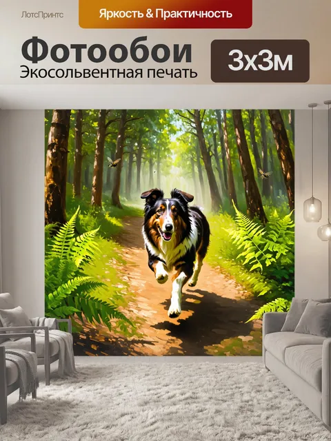 Фотообои картинка колли, бегущего по лесной тропинке среди густых деревьев, где солнечные лучи пробиваются сквозь…