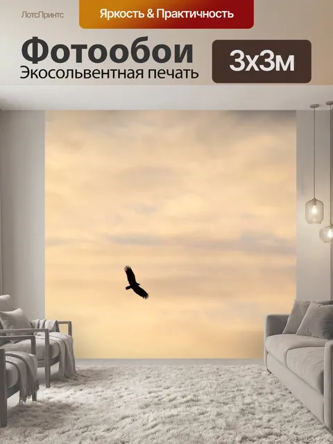 Фотообои Птица