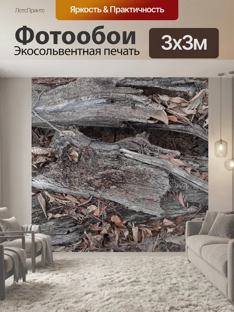 Фотообои Сгнившее дерево на лесной почве
