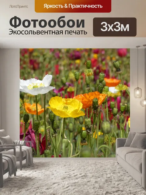 Фотообои Маки